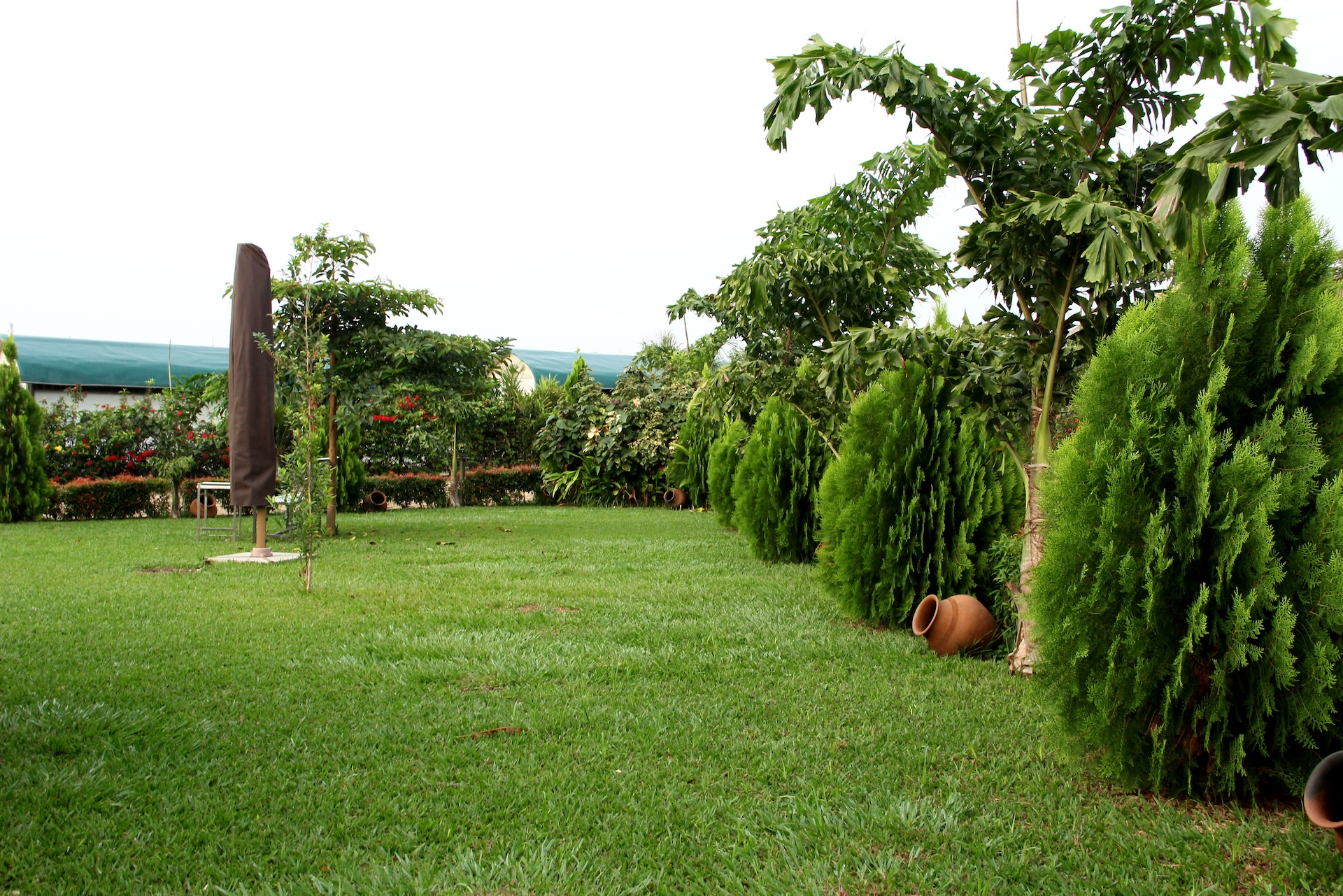 borgo santo pietro