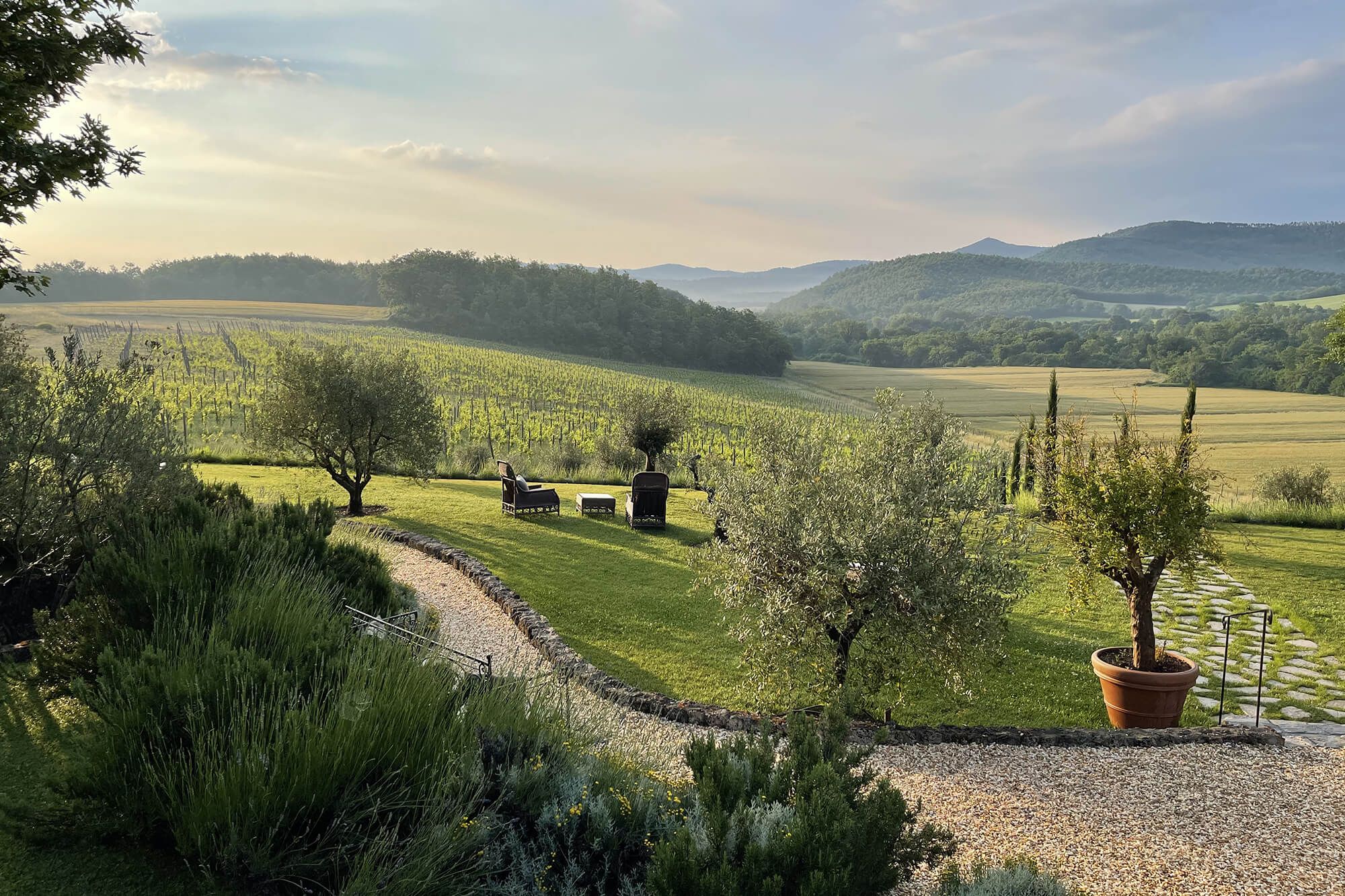 Borgo Santo Pietro - Relaxing spaces