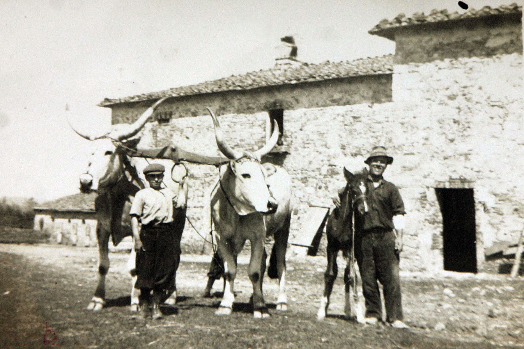 Borgo Santo Pietro - Our History