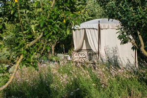 Relaxing gardens